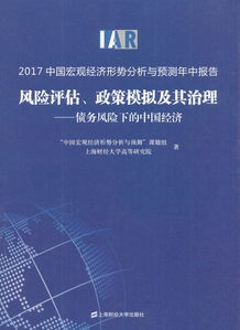 债务评估与分析