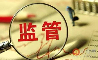 合法性依据与监管