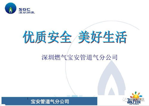 技术瓶颈背后的安全与版权挑战