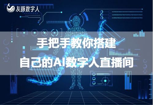 从零起步：搭建AI数字人直播间的关键步骤