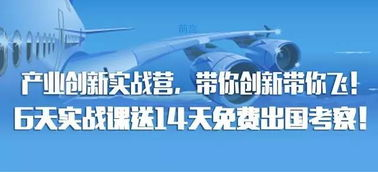2025实战风暴：三类企业的生死突围
