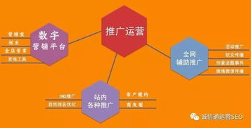 垂直赛道的精准爆破：小众类目如何玩转内容获客