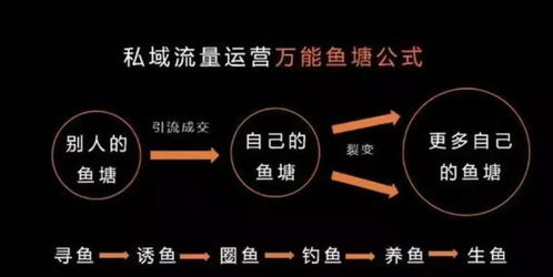 转化黑科技:私域运营与算法借力的进阶玩法