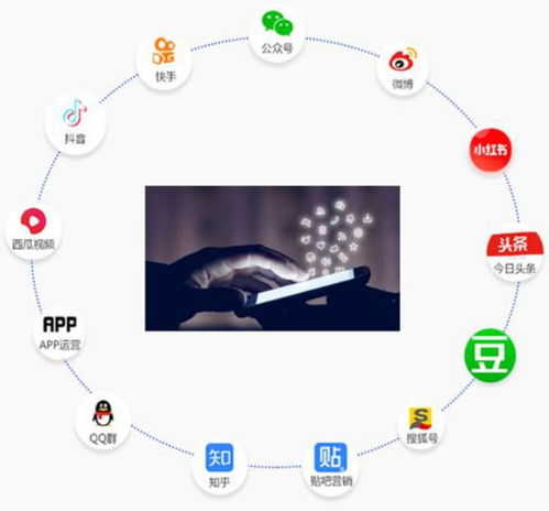 实战技巧：如何构建高效获客引流的短视频矩阵
