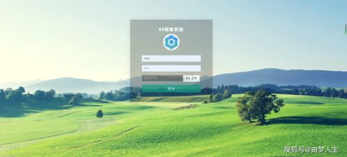 官网:获客系统的核心枢纽