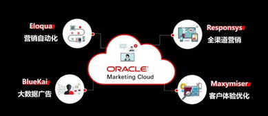 2025年短视频营销获客系统的创新技术与前沿趋势