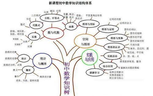 爆款内容的核心公式：从眼球到脚板的转化路径