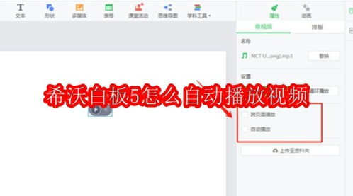 播放体验与下载选项