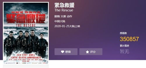 在线电影网站的挑战与应对