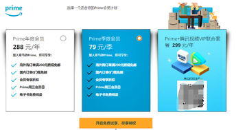 会员服务与增值体验