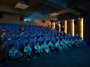 鲁兹片的观影体验