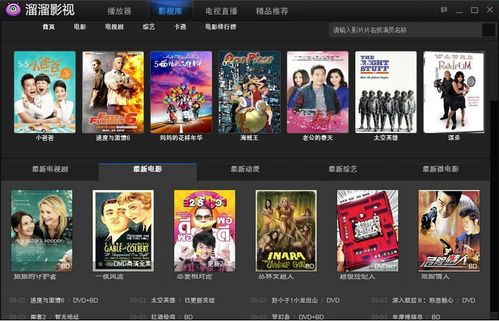 溜溜电影网简介