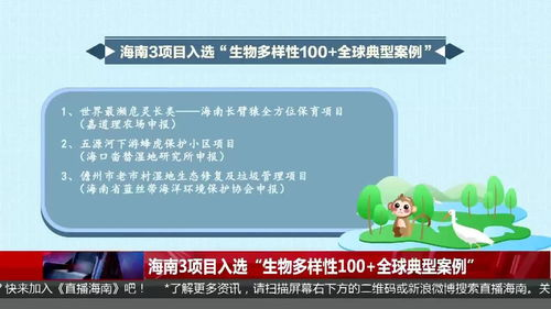 3. 网站内容的多样性