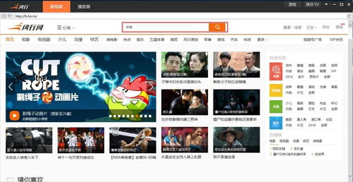 风行电影网的便捷服务