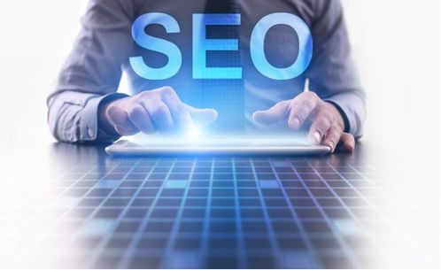 风行电影网的SEO优化