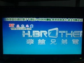 如何高效使用GVOD电影网