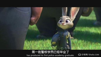 达利电影网的更新速度