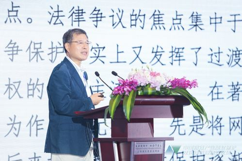 版权保护与合规性