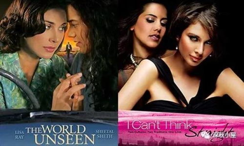 内容更新速度：百合电影网的活力源泉