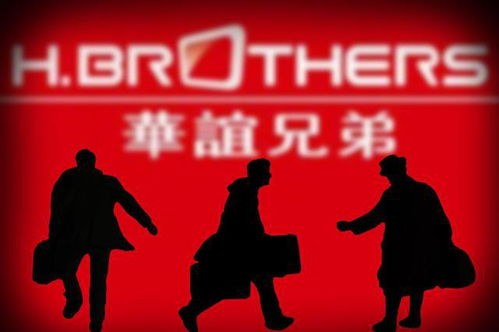 未来电影网的兴起与发展