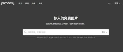 2828电影网的版权问题