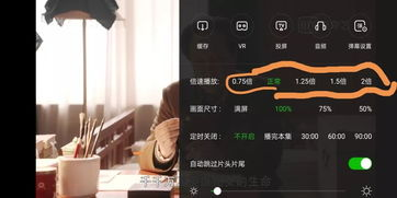 满足现代观众需求