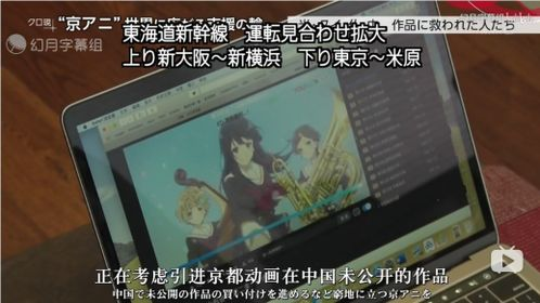 宅急看看一天电影网概述