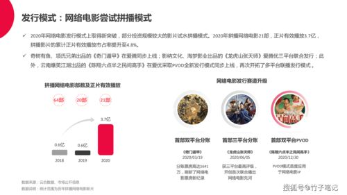 二色AV电影网的商业模式