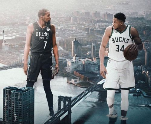 老视机电影网的视频分类