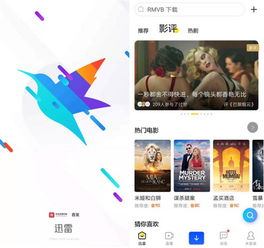 讯雷哥电影网的用户体验