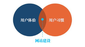 优质电影网的用户体验