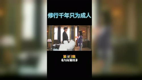 国外韩国电影网站的类型