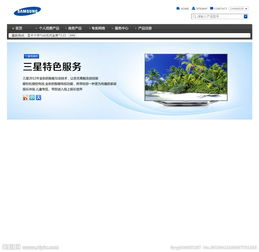 网站特色与服务