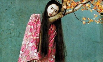 大桥未久作品的艺术价值