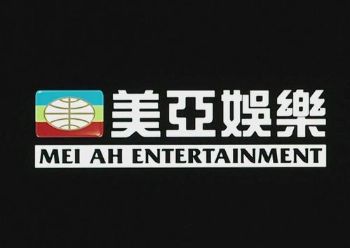 美亚在线高清电影网简介