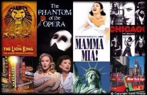 中国人电影网3040概述