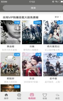 6V电影网站概述