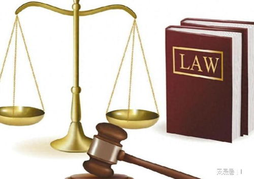 道德争议与社会影响