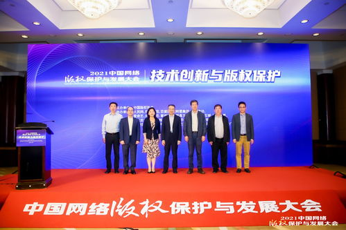 版权保护与技术创新