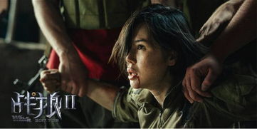 李宗瑞电影系列的受欢迎程度