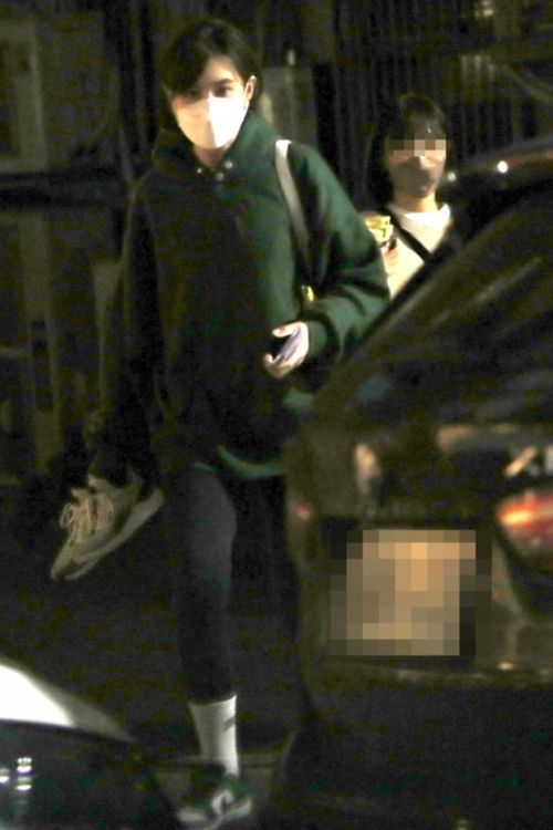 李宗瑞全集1313电影网概述