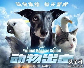 狗扑电影网的资源覆盖