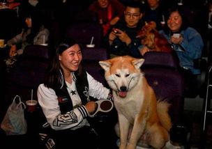 狗扑电影网的用户体验