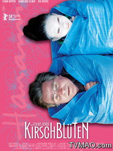 樱花电影网简介