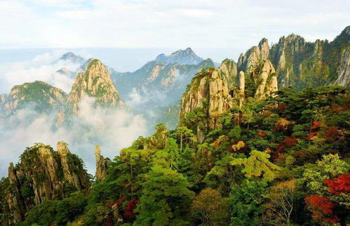 黄山电影网首页概览