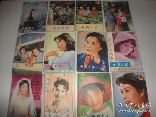 七碟电影网概述