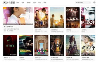 神马免费电影网的资源种类