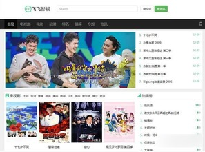飞飞电影网简介