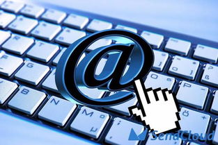 版权问题的严重性