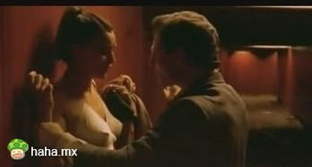 神马电影网午夜场电影概述